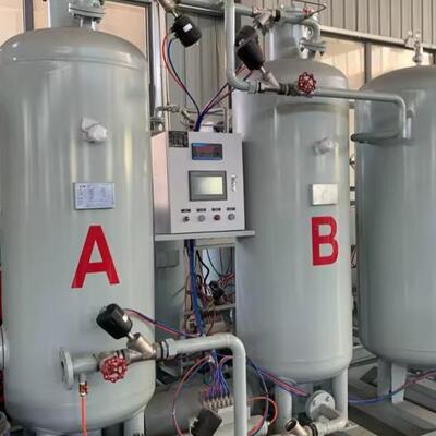 Générateur d'azote PSA à pression de 0,1 à 0,65 MPa et à capacité de sortie de 30 Nm3/h avec commande PLC