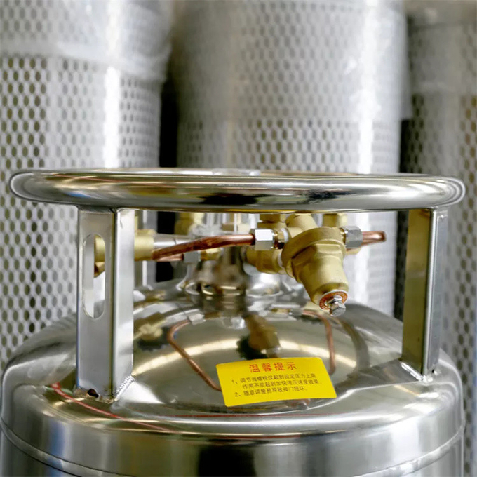 Cylindre cryogénique de vase Dewar